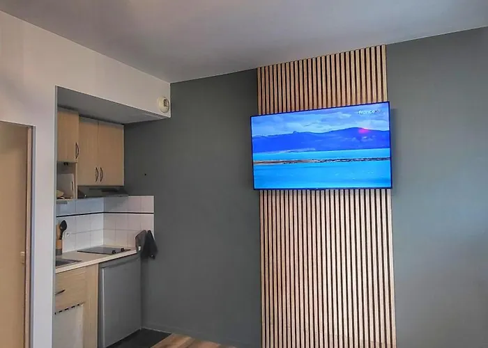 Bali Touch - Clim , Parking Prive , Wifi * 그르노블